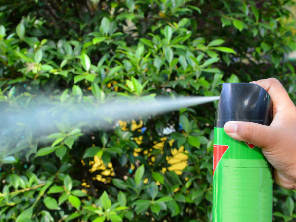 ಹೆಚ್ಚುವರಿ ಆರೈಕೆ