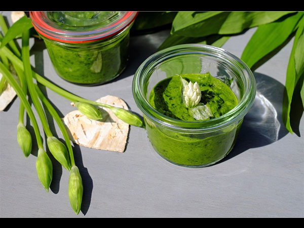 ಕರಿಬೇವಿಸ ಪೇಸ್ಟ್ ಮತ್ತು ಕಡ್ಡಿ