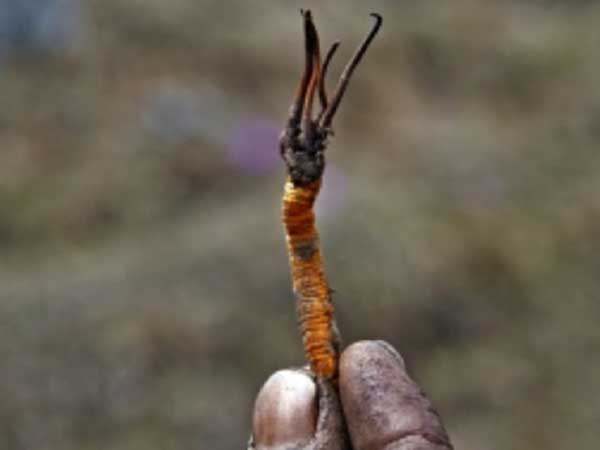 ಈ ಸಮಯದಲ್ಲಿ ಜನರು ದೌಡಾಯಿಸುತ್ತಾರೆ