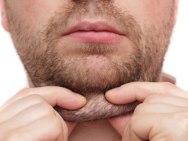 ಉದ್ದನೆಯ ಗದ್ದ 