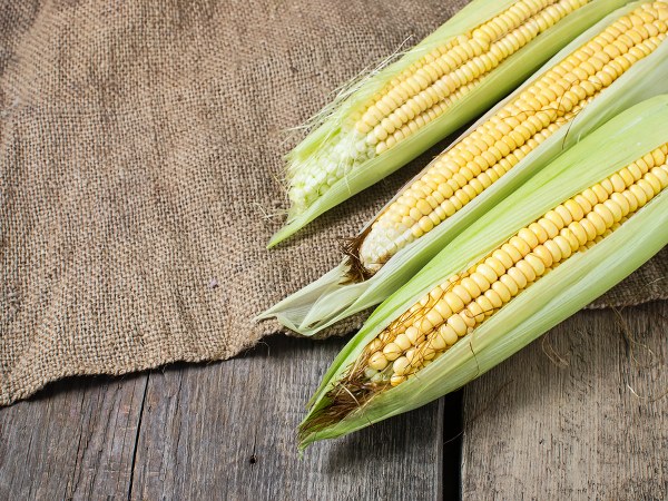 ಜೀರ್ಣಕ್ರಿಯೆ ಹೆಚ್ಚು ಮಾಡುತ್ತದೆ