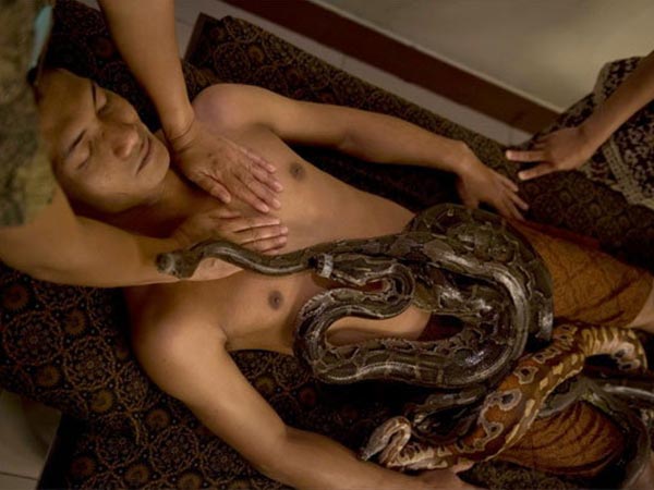 ಇದೊಂದು ಹುಚ್ಚುತನದ ಪರಮಾವಧಿಯೇ?