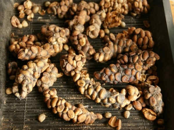 ಇದು ಏಕಾಗಿ ಇಷ್ಟು ದುಬಾರಿ?