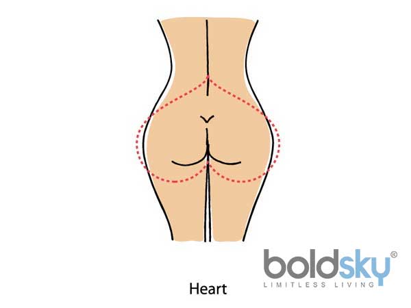 ಹೃದಯಾಕಾರದ ಪ್ರಷ್ಠಭಾಗ
