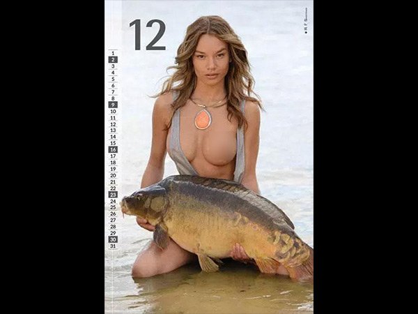 ವಿಶೇಷ ಪರಿಕಲ್ಪನೆ