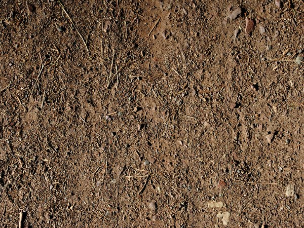 ಮಣ್ಣು ತಿನ್ನುವ ಬಯಕೆ!! ಮಣ್ಣು ತಿನ್ನುವ ಬಯಕೆ!!