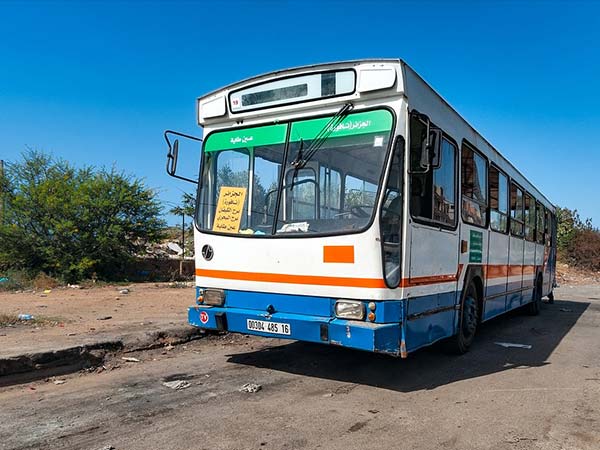 ಲಾಲ್ಜೀರಿಯಾ