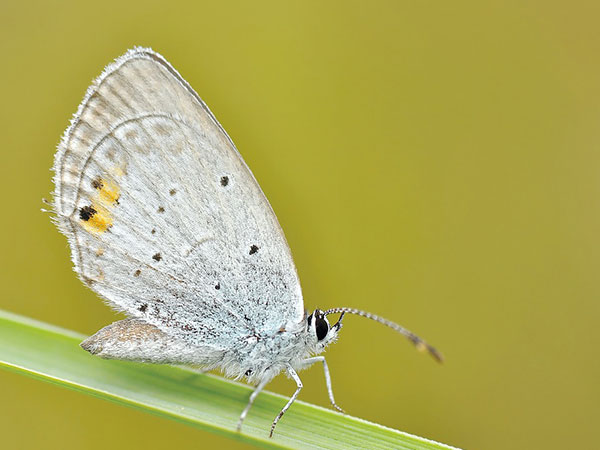 ಸಪ್ಟೆಂಬರ್