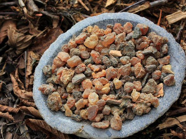  ಮೈರ್ಹ್(ರಾಳ) ಸಾರಭೂತ ತೈಲ