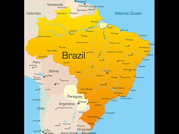 ಬ್ರೆಜಿಲ್‌ನ ಭಯಾನಕ 'ಹಾವಿನ ದ್ವೀಪ' 