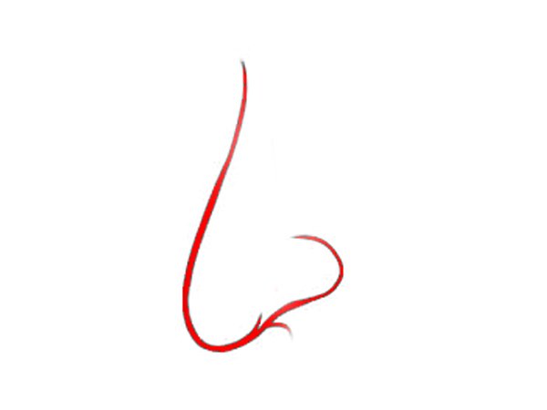 ನುಬಿಯನ್ ಮೂಗು