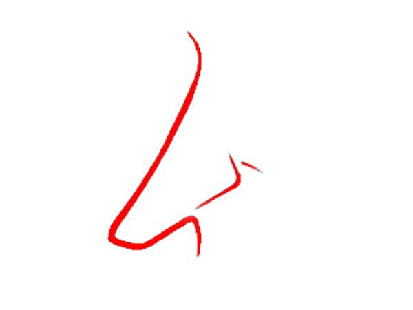 ಗ್ರೀಕ್ ಮೂಗು