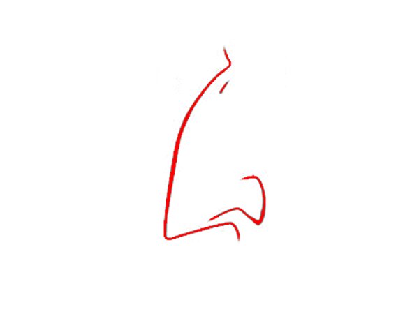 ಕಮಾನು ಮೂಗು