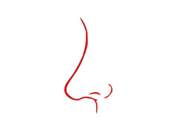 ಬಟನ್ ಮೂಗು