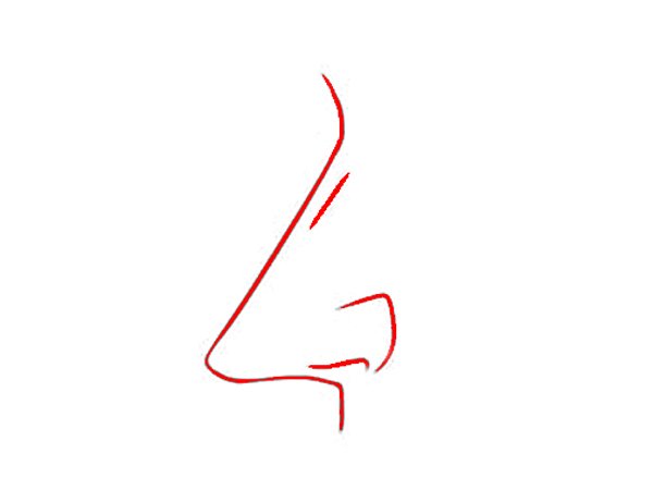 ನೇರವಾದ ಮೂಗು