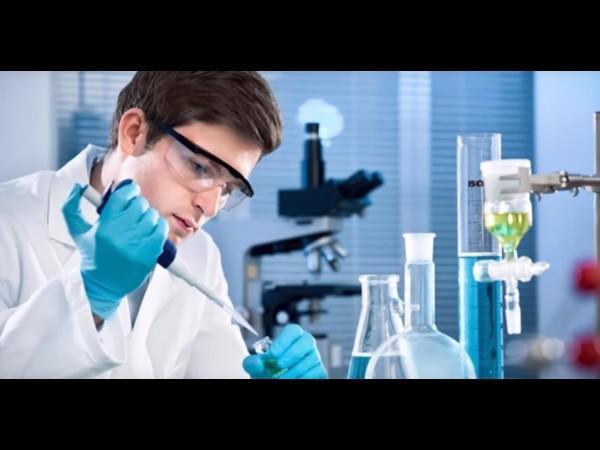 ಪರ್ಯಾಯ ಕಲ್ಪನೆ - ಬಾಹ್ಯ ಜೀವರಾಶಿಯ ಜೀವ ರೂಪ