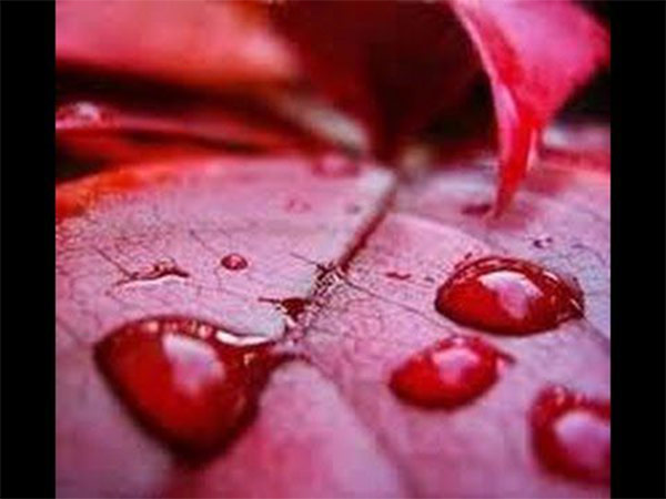 ಪರ್ಯಾಯ ಕಲ್ಪನೆ-ಒಂದು ಜ್ವಾಲಾಮುಖಿ