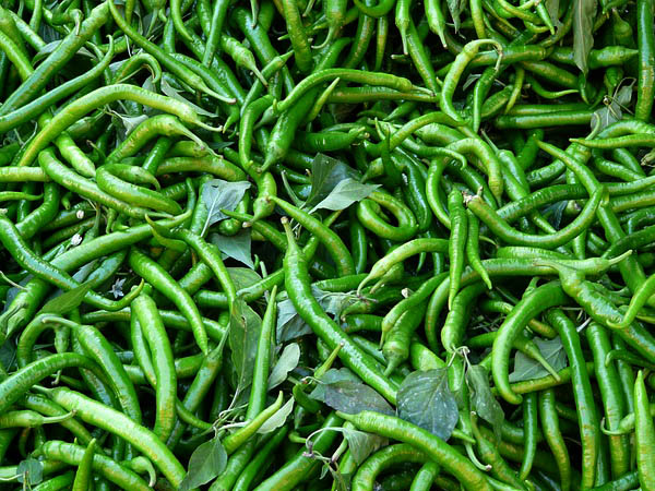 ಹಸಿಮೆಣಸು ಹಸಿಮೆಣಸು