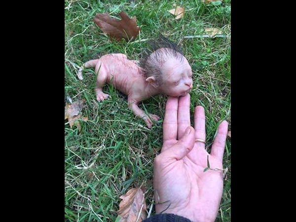 ಇದು ದೊಡ್ಡ ಸುಳ್ಳು! 