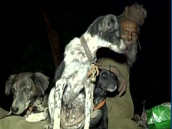 ನಾಯಿಗಳ ದೇವಾಲಯ