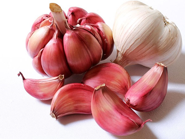 ಬೆಳ್ಳುಳ್ಳಿ