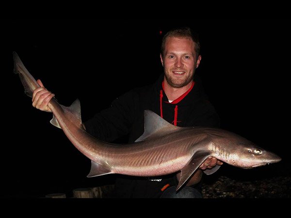 ಇವೆಲ್ಲಾ ಕ್ಷಣಾರ್ಧದಲ್ಲಿ ನಡೆದುಹೋಯಿತು ಇವೆಲ್ಲಾ ಕ್ಷಣಾರ್ಧದಲ್ಲಿ ನಡೆದುಹೋಯಿತು