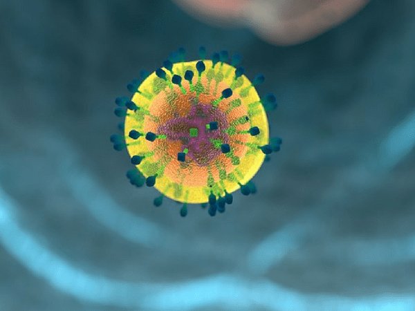 ರೋಗ ನಿರೋಧಕ ಶಕ್ತಿಯನ್ನು ಹೆಚ್ಚಿಸುತ್ತದೆ