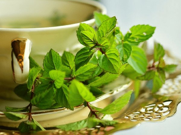 ಪುದಿನಾ ಪುದಿನಾ