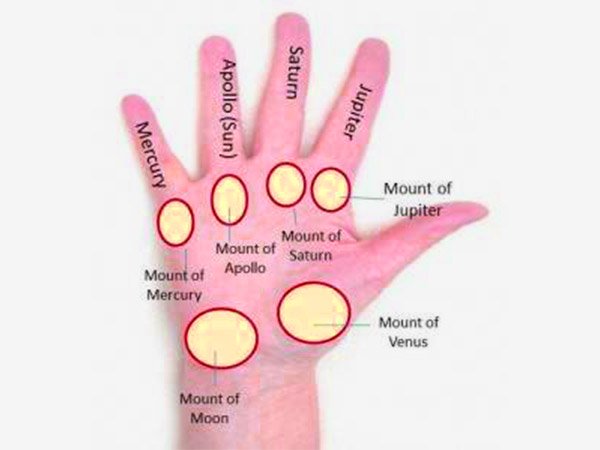 ಕೆಳಗಿನ ಮಂಗಳವು ಸಂಪೂರ್ಣವಾಗಿ ಬೆಳೆದಿದ್ದರೆ...
