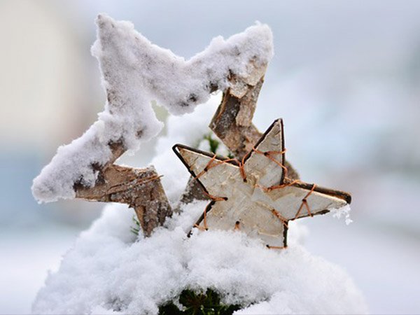 ಕ್ರಿಸ್‌ಮಸ್ ಸ್ಟಾರ್