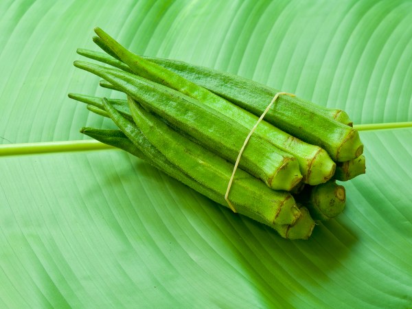 ಮೂಳೆಗಳನ್ನು ದೃಢಗೊಳಿಸುತ್ತದೆ ಮೂಳೆಗಳನ್ನು ದೃಢಗೊಳಿಸುತ್ತದೆ