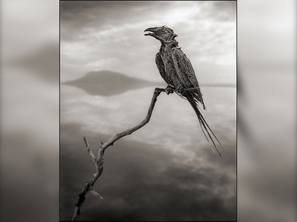 ಈ ಕೆರೆ ವಾಸ್ತವವಾಗಿ ಒಂದು ಪ್ರಸೂತಿ ಗೃಹ