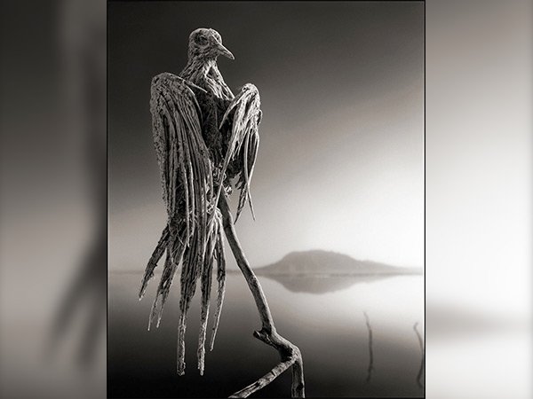 ಈ ಕೆರೆಯ ಬಗ್ಗೆ ಸಾಕ್ಷ್ಯಚಿತ್ರ ತಯಾರಿಸಿದ ಛಾಯಾಗ್ರಾಹಕ ಹೇಳುವ ಪ್ರಕಾರ