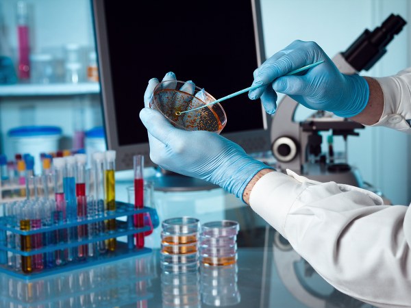 15ನೇ ದಿನ 15ನೇ ದಿನ