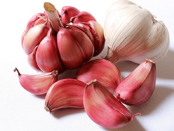 5. ಬೆಳ್ಳುಳ್ಳಿ 5. ಬೆಳ್ಳುಳ್ಳಿ