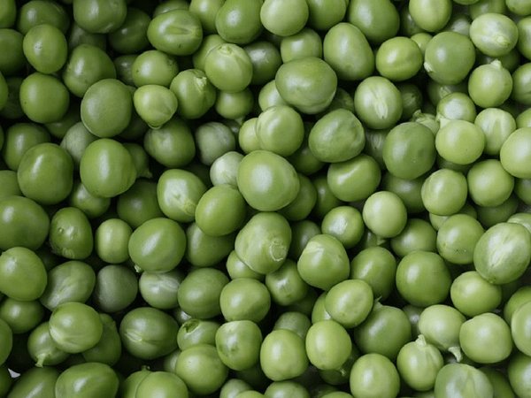 13. ಕಾಳುಗಳು 13. ಕಾಳುಗಳು