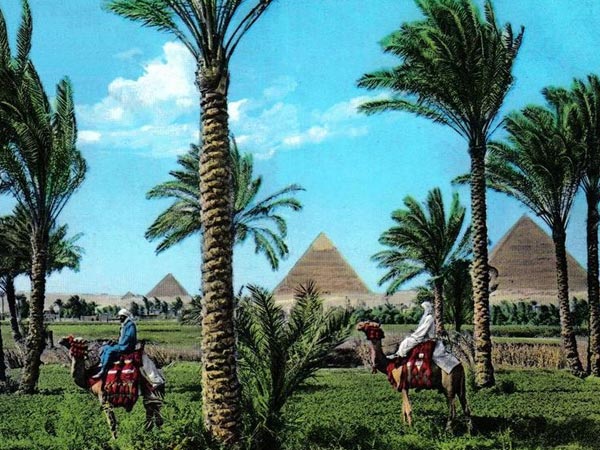 ದೇವತೆಗಳ ನಗರ, ಗೀಜಾ ಪ್ರಸ್ಥಭೂಮಿ