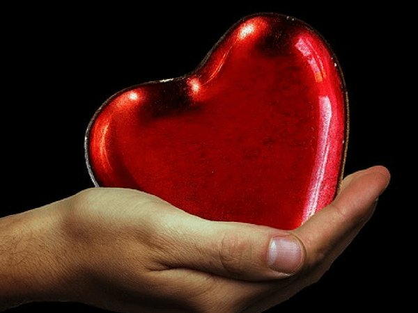 ಹೃದಯದ ರಕ್ಷಣೆ