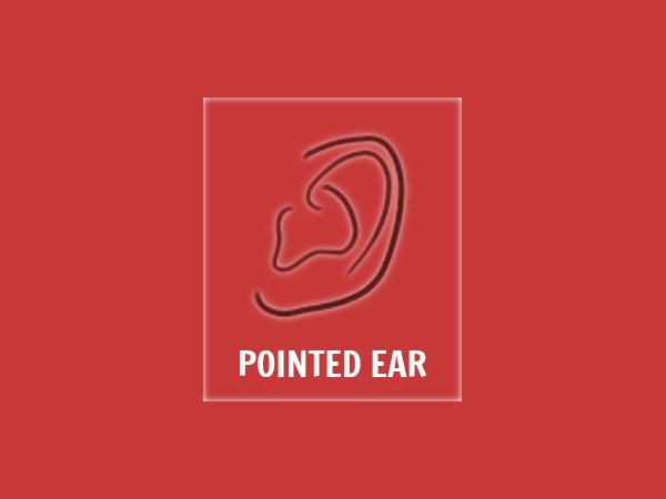 ಚೂಪಾದ ಹೊರಗಿವಿ