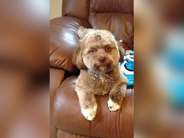 ಆದರೆ ಇದು ನಿಜವಲ್ಲದೇ ಇರಬಹುದು!