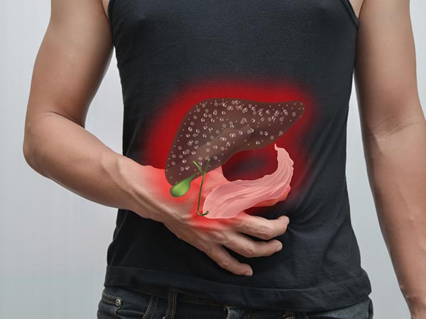 ಯಕೃತ್ ಅನ್ನು ರಕ್ಷಿಸುತ್ತದೆ