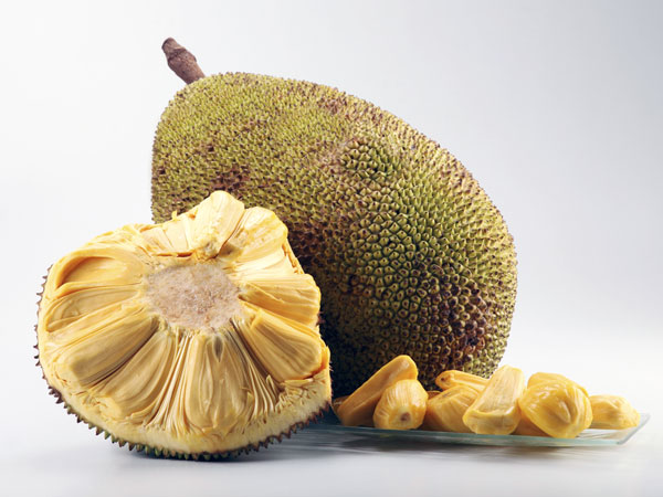 ಅಸ್ತಮಾ ರೋಗವನ್ನು ನಿಯಂತ್ರಣದಲ್ಲಿರಿಸುತ್ತದೆ