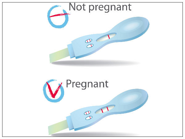 pregnancy test