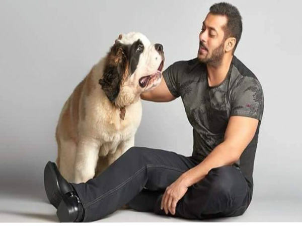 ಇವರಿಬ್ಬರೂ ಹದಿಹರೆಯದಿಂದಲು ಪರಸ್ಪರ ಪ್ರೀತಿಸುತ್ತಿದ್ದರು