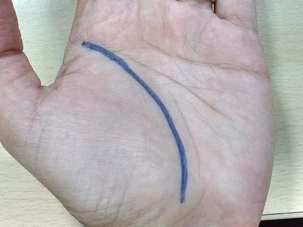 ಜೀವನ ರೇಖೆ