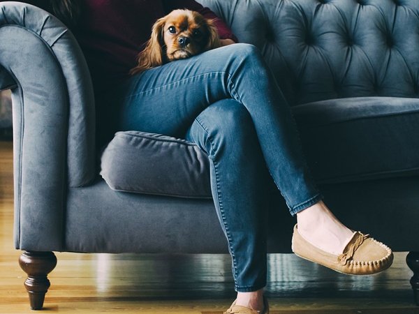 ಆಕೆಯ ನಾಯಿಗಳ ಮೇಲಿನ ಪ್ರೀತಿಯಿಂದ ರೋಸಿ ಹೋದ ಪತಿ