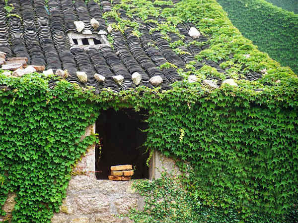 ನಿದ್ರೆಗೆ ಜಾರುವ ಕಾಯಿಲೆಯನ್ನು ಭೇದಿಸಲು ಇದುವರೆಗೂ ಸಾಧ್ಯವಾಗಿಲ್ಲವಂತೆ! ನಿದ್ರೆಗೆ ಜಾರುವ ಕಾಯಿಲೆಯನ್ನು ಭೇದಿಸಲು ಇದುವರೆಗೂ ಸಾಧ್ಯವಾಗಿಲ್ಲವಂತೆ!