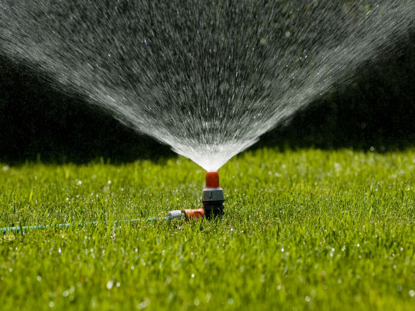  ಆರ್ಥಿಕ ವಾಸ್ತು ಟಿಪ್ -13