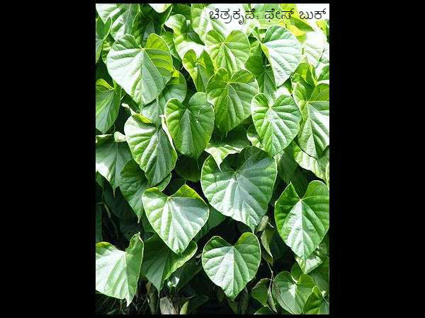 6. ಅಧಿಕ ತೂಕ ಹೊಂದಿದವರಿಗೆ: