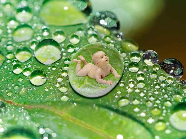 ಸೂಪ್ ಮತ್ತು ಸಾರು